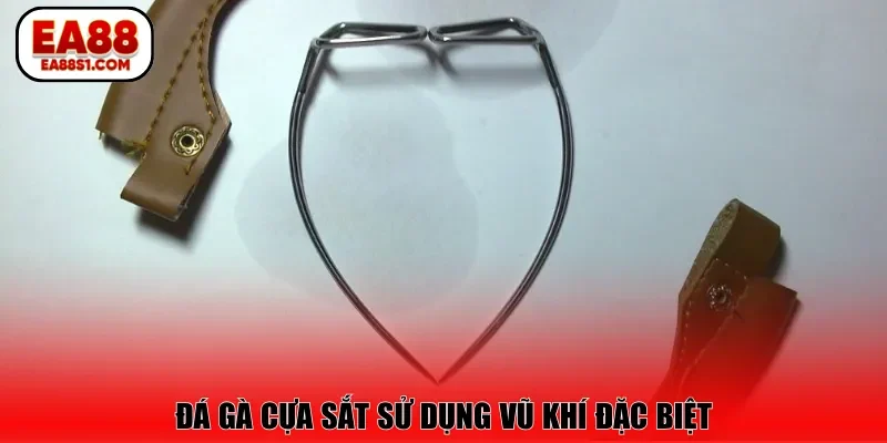 Đá gà cựa sắt sử dụng vũ khí đặc biệt