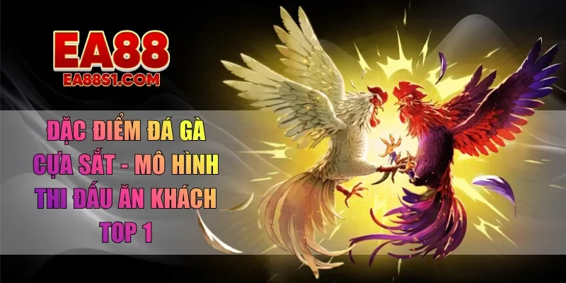 đá gà cựa sắt