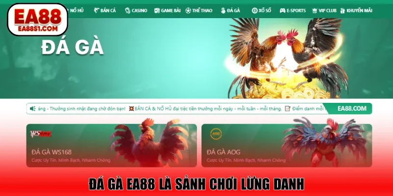 Đá gà EA88 là sảnh chơi lừng danh