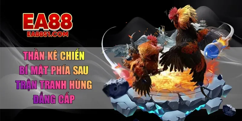 thần kê chiến